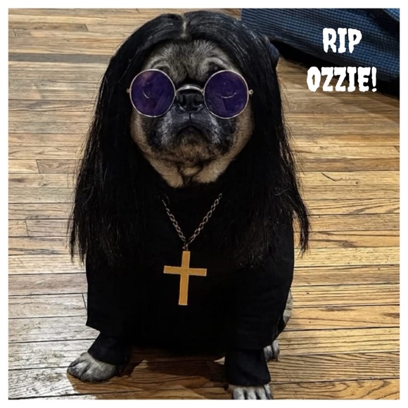 ❌ 11/19 WICKED WEDNESDAY VINTAGE FASHION SHARE GROUP - Picture 15 of 16